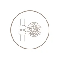 comprehensive centre of fracture and osteoporosis management