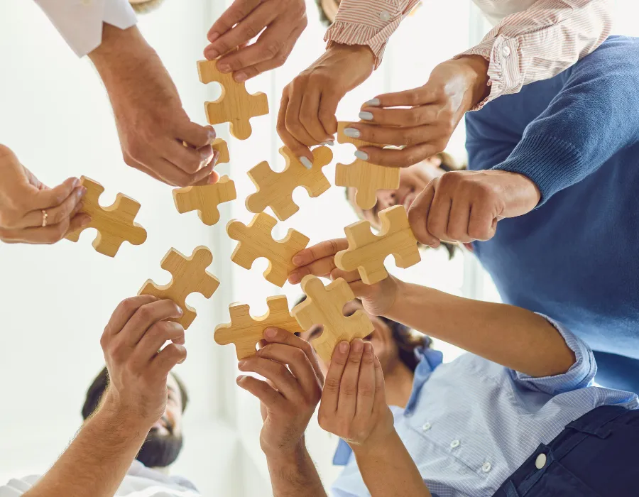 FLS multidisciplinary team
